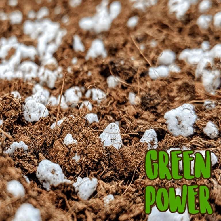 PEAT MOSS 50 + PERLITE 50 Mix Green Power