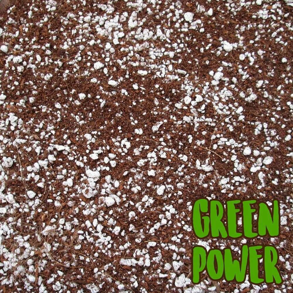 PEAT MOSS 50 + PERLITE 50 Mix Green Power