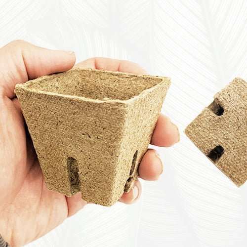 Jiffy Square Pot 60mm Green Power