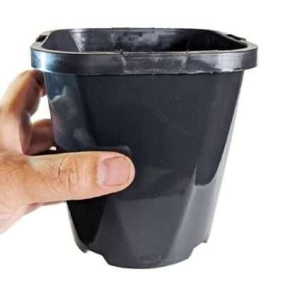 Square pots 116mm
