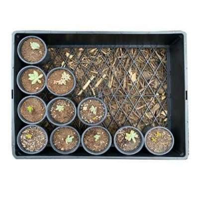 Multipak Garden Large Tray - Holes